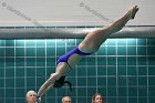 Swimming & Diving vs RWU  Swimming & Diving vs Roger Williams University. - Photo by Keith Nordstrom : Wheaton, Swimming